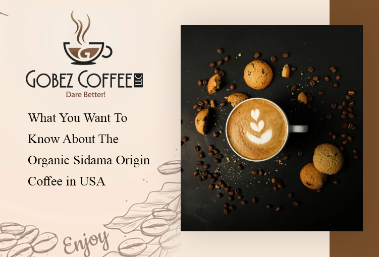 Organic-Sidama-Origin-Coffee-in-USA