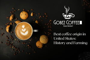 best-coffee-origin-in-United-States